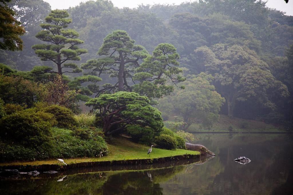 Tora Hotel Tokyo-Rikugienn 寅ホテル 六義園 C 外观 照片
